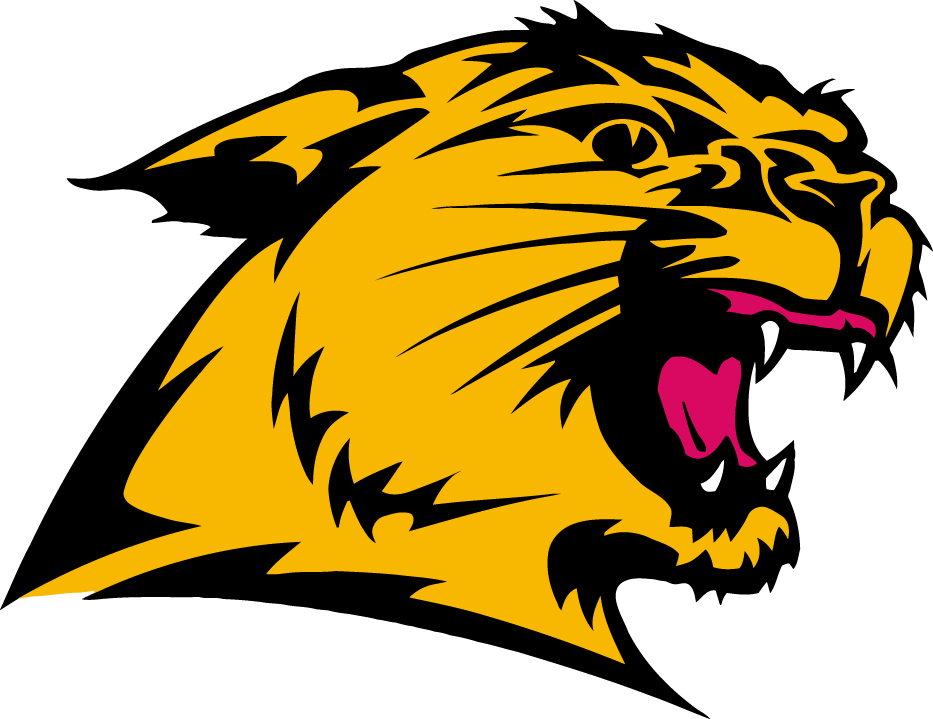 Northern Michigan Wildcats 0-Pres Partial Logo diy fabric transfer